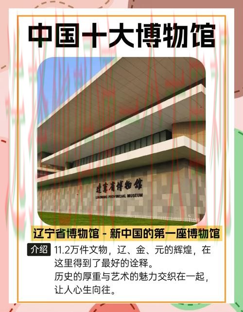 探索10博APP官网的独特魅力