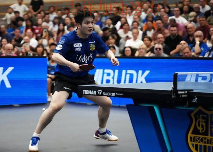 樊振东在西甲中高效输出展现核心价值 成为本轮最大看点 樊振东在西甲中高效输出展现核心价值 成为本轮最大看点